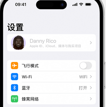 奉贤appleID维修服务iPhone设置中Apple ID显示为灰色无法使用 