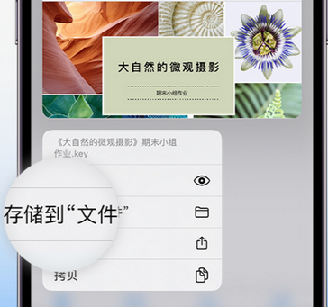 奉贤apple维修中心分享iPhone文件应用中存储和找到下载文件