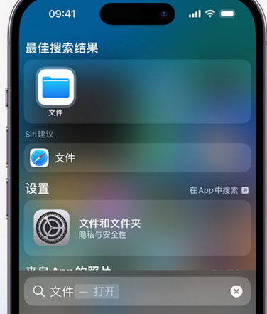 奉贤apple维修中心分享iPhone文件应用中存储和找到下载文件 