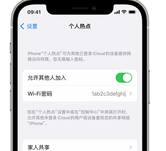 奉贤apple服务站点分享iPhone上个人热点丢失了怎么办 