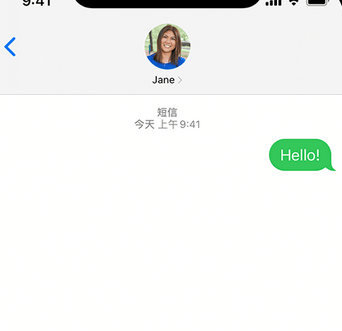 奉贤apple维修iPhone上无法正常发送iMessage信息