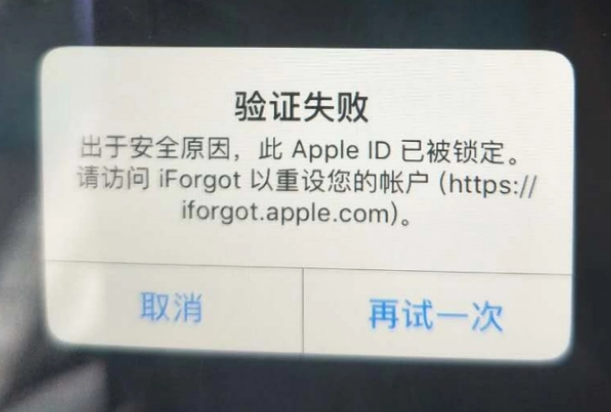 奉贤iPhone维修分享iPhone上正常登录或使用AppleID怎么办 