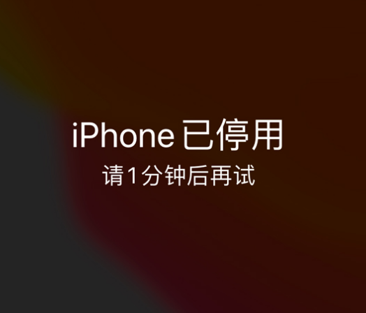 奉贤苹果手机维修分享:iPhone 显示“不可用”或“已停用”怎么办？还能保留数据吗？ 