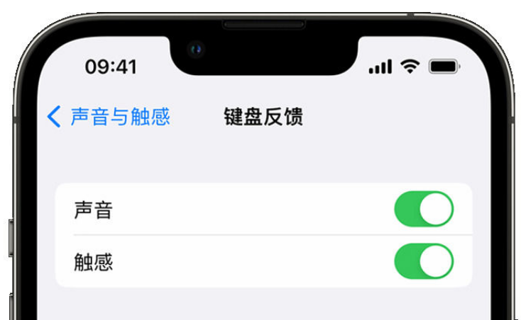 奉贤苹果手机维修分享iPhone 14触感键盘使用方法 