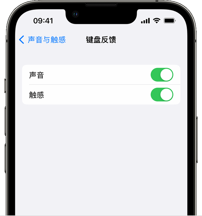 奉贤苹果14维修店分享如何在 iPhone 14 机型中使用触感键盘 