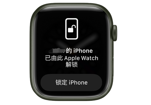 奉贤苹果手机维修分享用 AppleWatch 解锁配备面容 ID 的 iPhone方法 