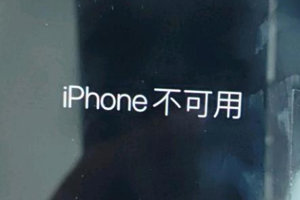 奉贤苹果服务网点分享锁屏界面显示“iPhone 不可用”如何解决 