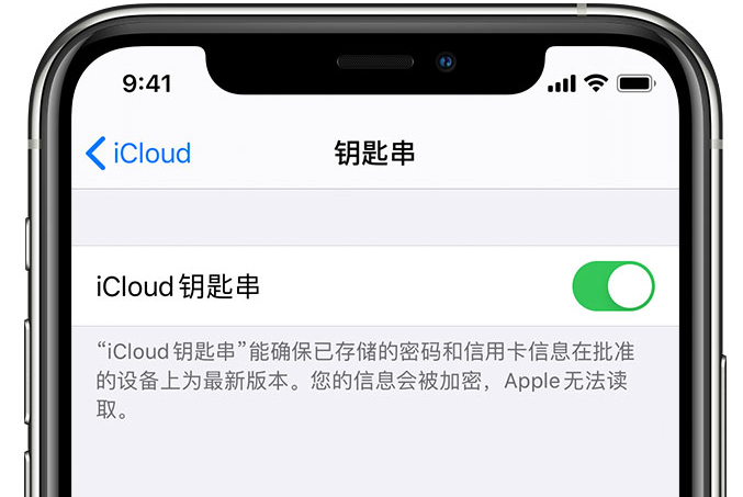 奉贤苹果手机维修分享在 iPhone 上开启 iCloud 钥匙串之后会储存哪些信息 