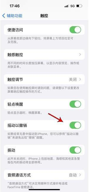 奉贤苹果手机维修分享iPhone手机如何设置摇一摇删除文字 